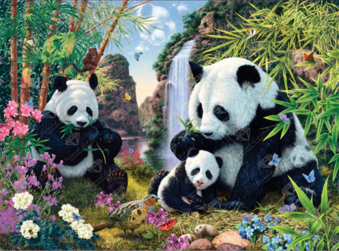 DAC ダイヤモンドアートクラブ Panda Valley