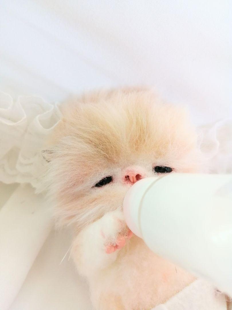 おむつ♡お腹ぽっこり子猫ちゃん♡アートドール♡ぬいぐるみ♡ベビー♡