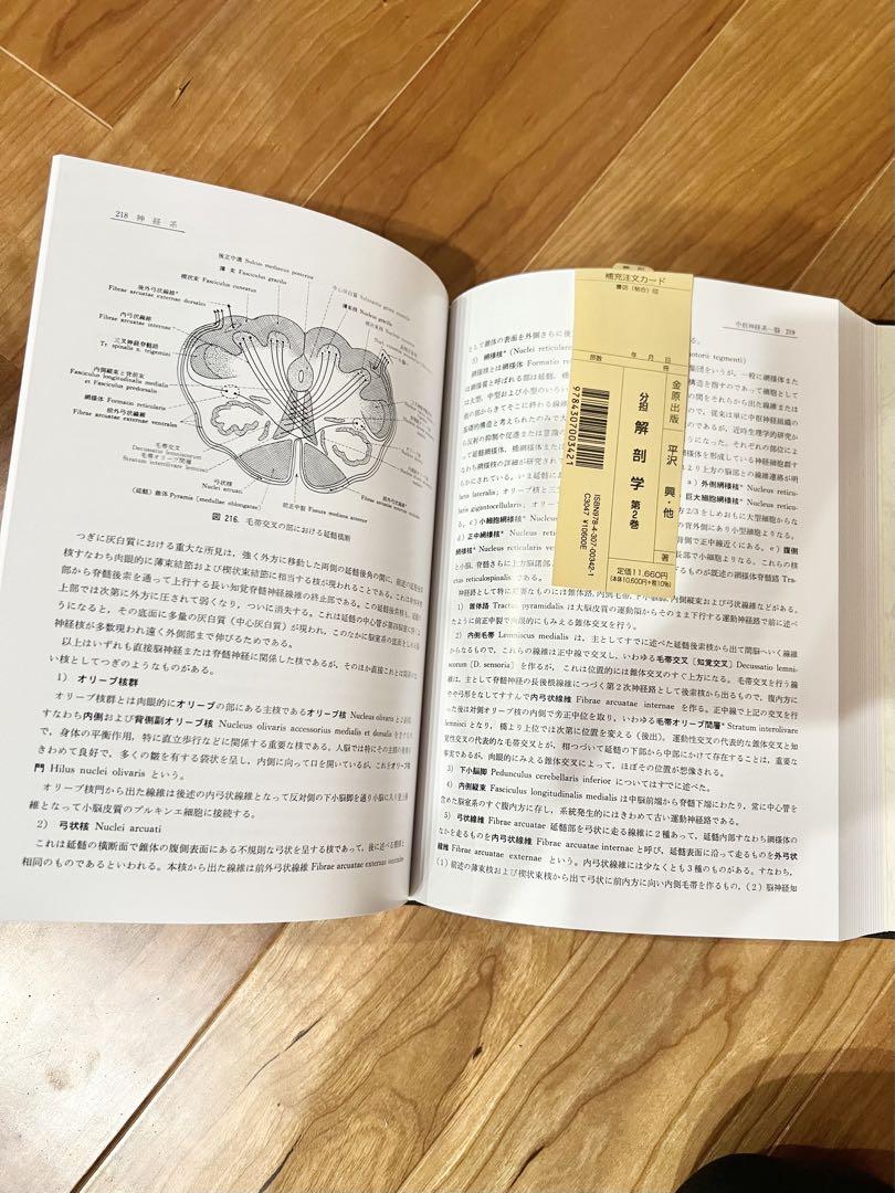 分担 解剖学 2 (Anatomy 2)