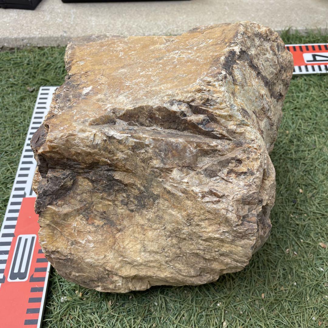 岐阜石 Eは 特大 約18.6㎏ 庭石 割栗石 ロックガーデン ドライ
