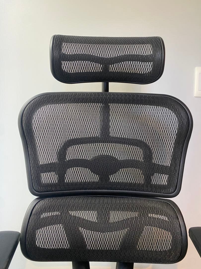 エルゴヒューマン プロ　ブラック・エディション