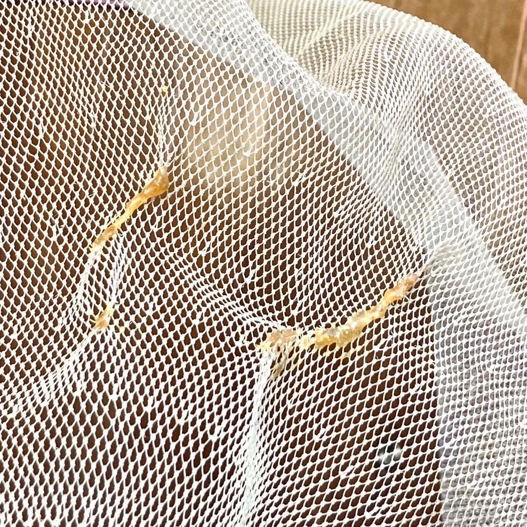 ダイワ 鮎だも 競技スペシャル あゆだも 鮎釣り 渓流