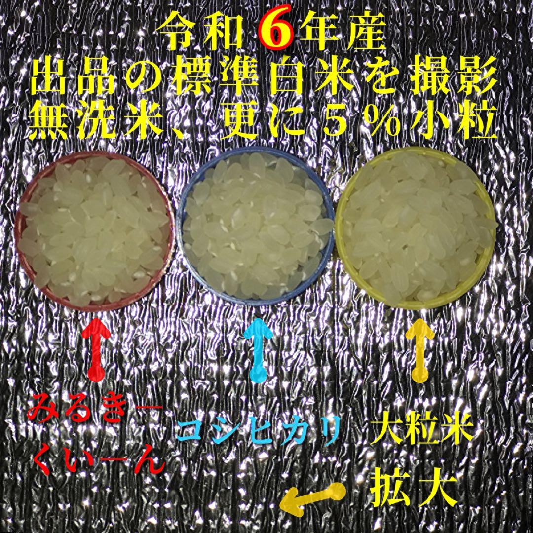 【超希少】棚田米　酵素米　大粒米　玄米20Kg「無洗米に精米」