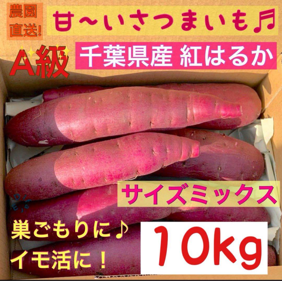 千葉県産さつまいも　熟成紅はるか サイズミックス5kg2箱　10kg