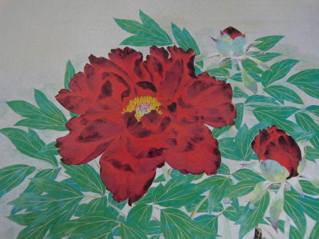 岡崎忠雄、「牡丹」、希少な画集の額装画