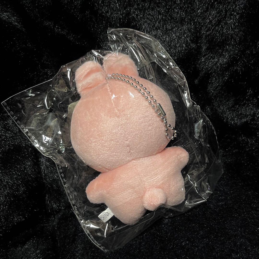 Amazon.co.jp: ジェミン ぬいぐるみ 10cm マスター nct : おもちゃ