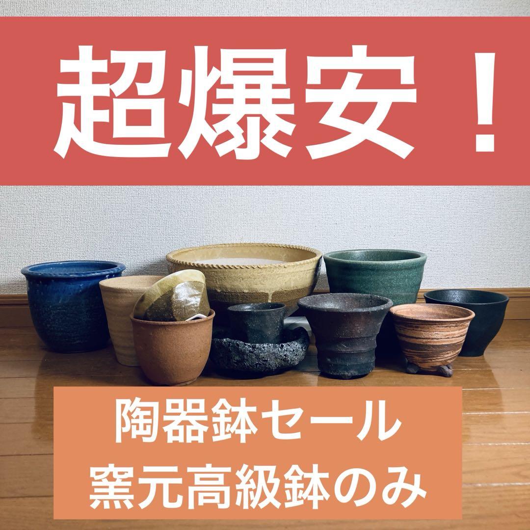 価格破壊　全部窯元職人鉢　11鉢