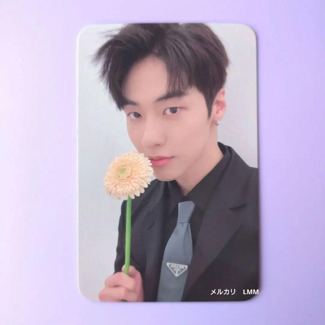 N.Flying　トレカ N.Flying ㅋㅎㅎ MD トレカ スンヒョプ フェスン まとめ売り