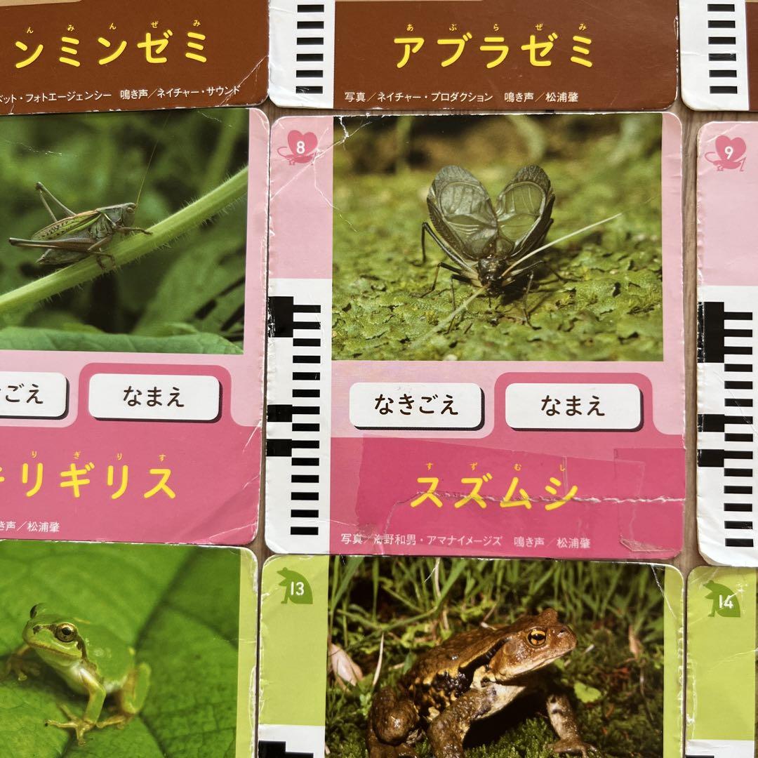 こどもちゃれんじ　まとめ売り こどもちゃれんじ まとめ売り ベネッセ - メルカリ