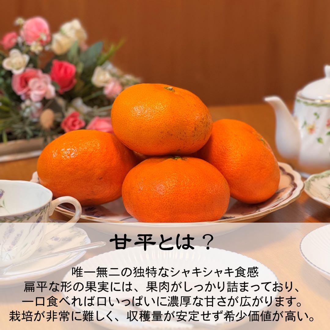 【⭐︎卍⭐︎】愛媛県西宇和産 甘平 4kg 選別品
