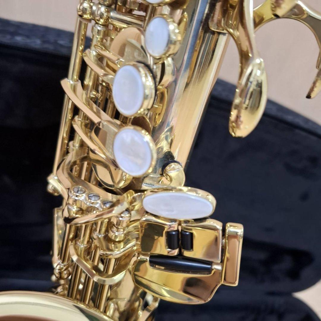 アルトサックス　SELMER（セルマー）アクソス リード付き✨