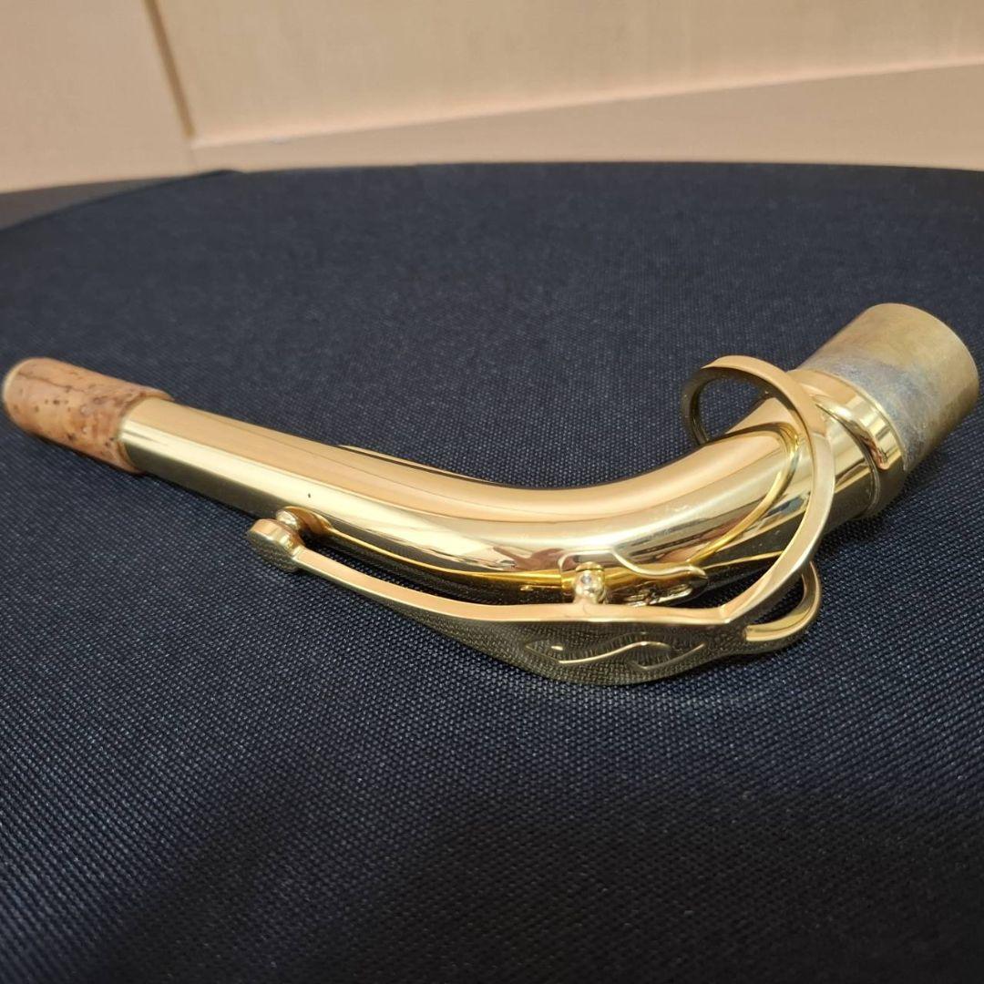 アルトサックス　SELMER（セルマー）アクソス リード付き✨