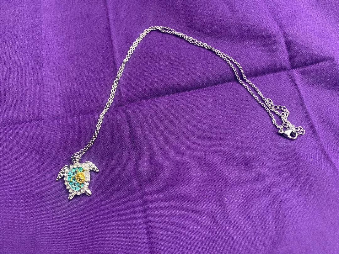 【呪物】絶対守護精霊「ミシャグジ」様の宿るペンダント※河村泰貴様専用商品