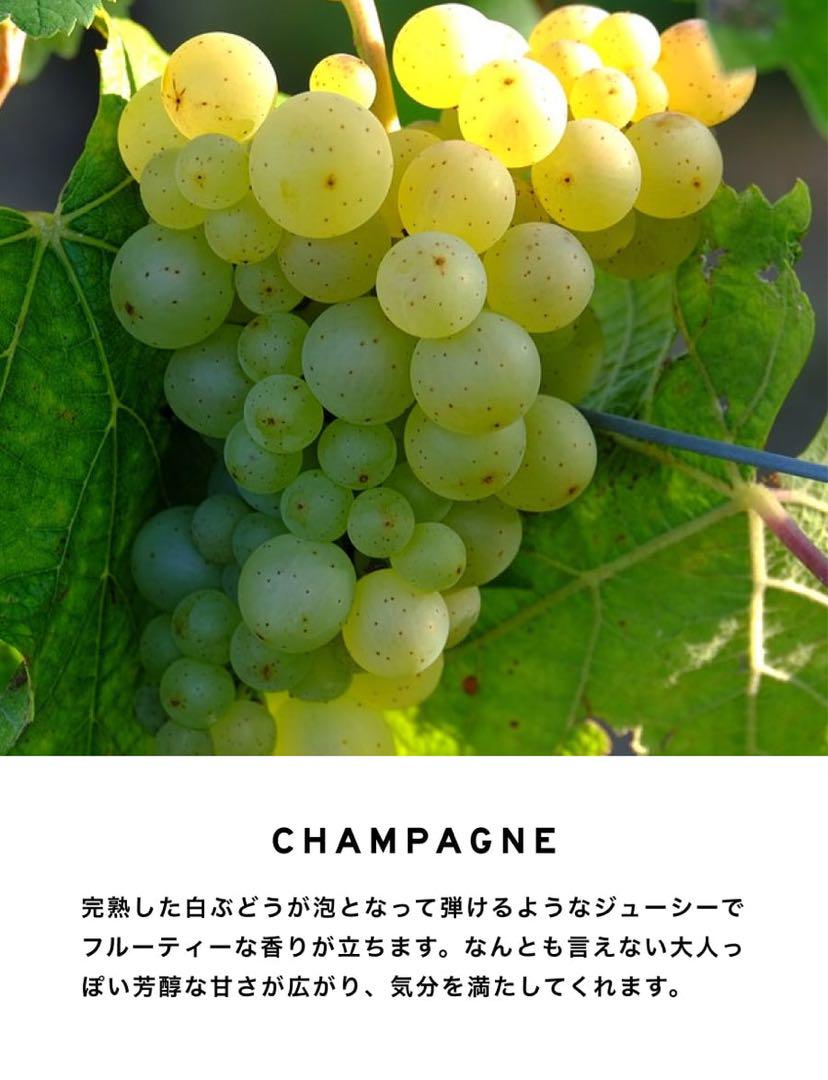Compounded CP_MM 50mlコンパウンドオードトワレ 香水NO.2