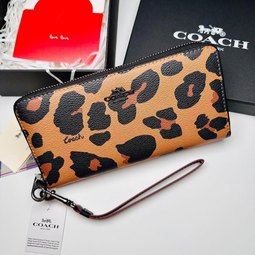コーチレーデイズ長財布Coach長財布ブランド新商品