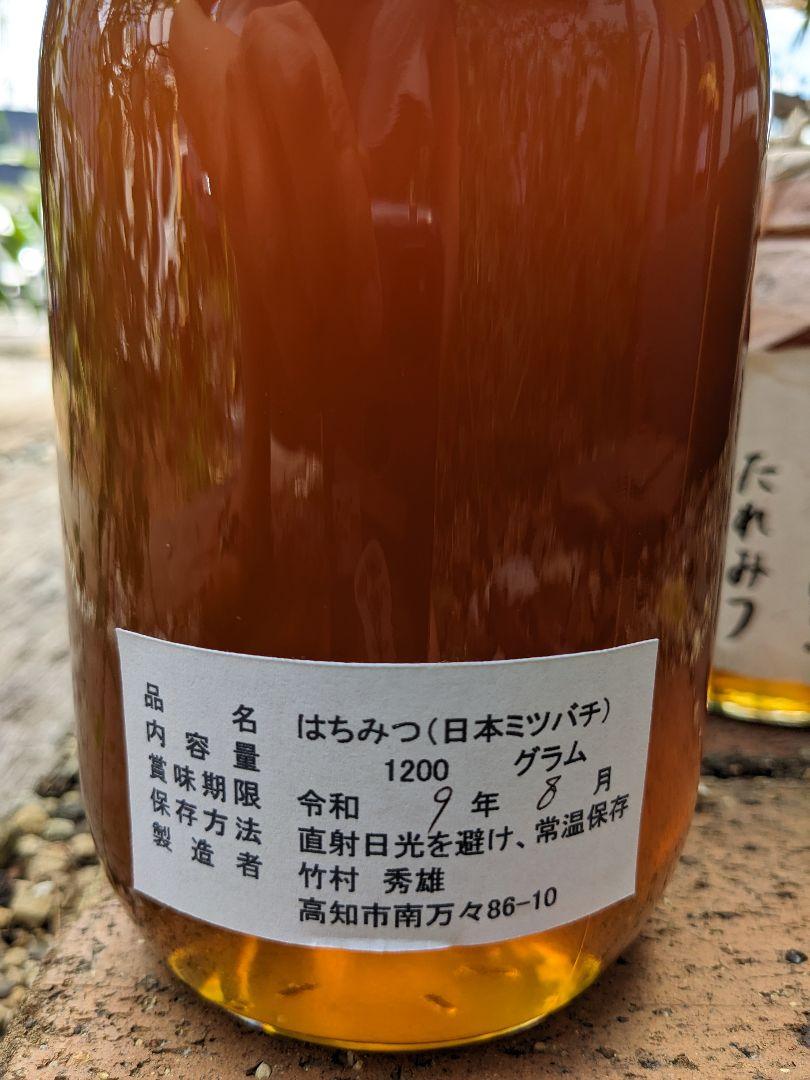 日本ミツバチ 蜂蜜 令和6年    採れたて 1200g たれ蜜 非加熱蜜