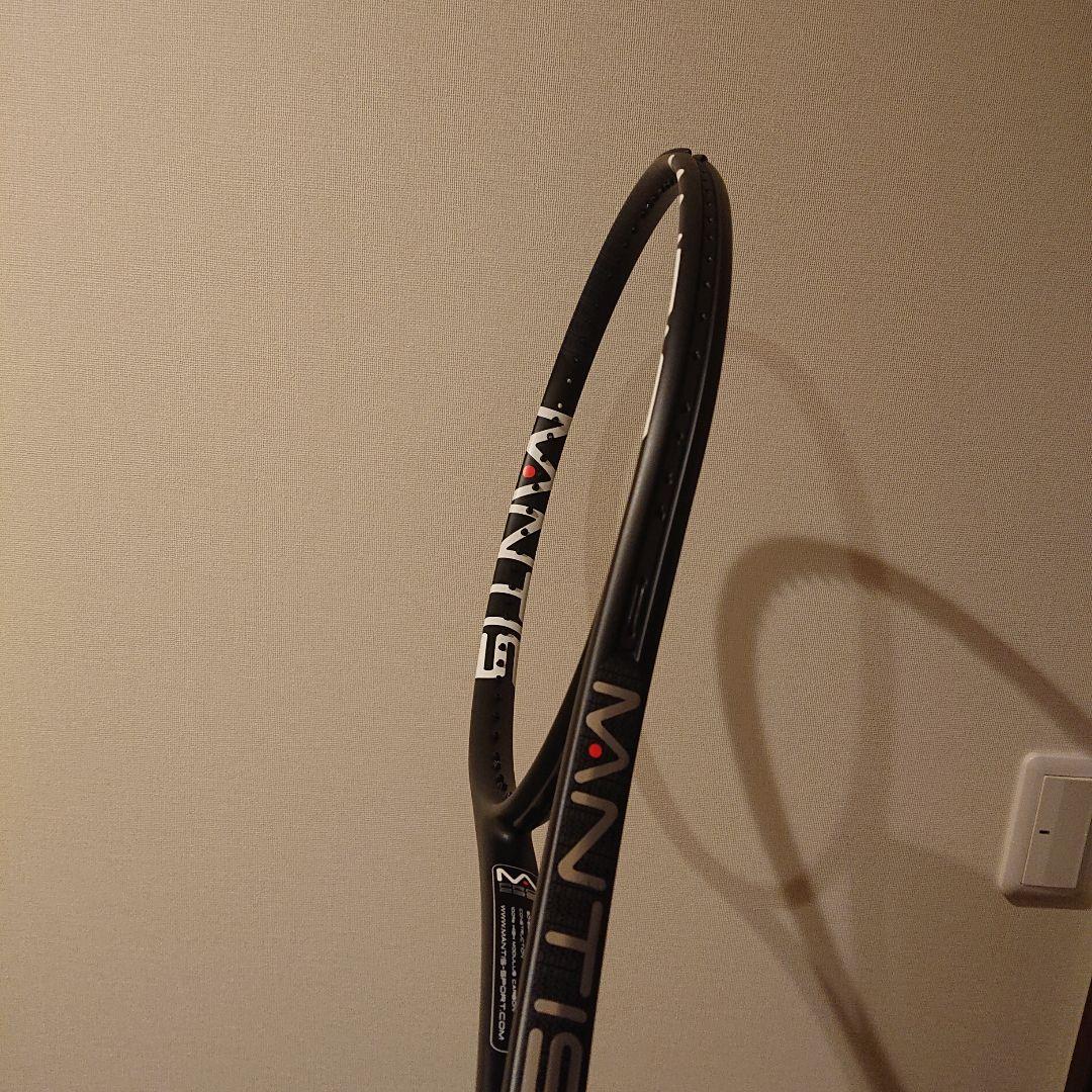 マンティス プロ295 | obxrenewiv.com