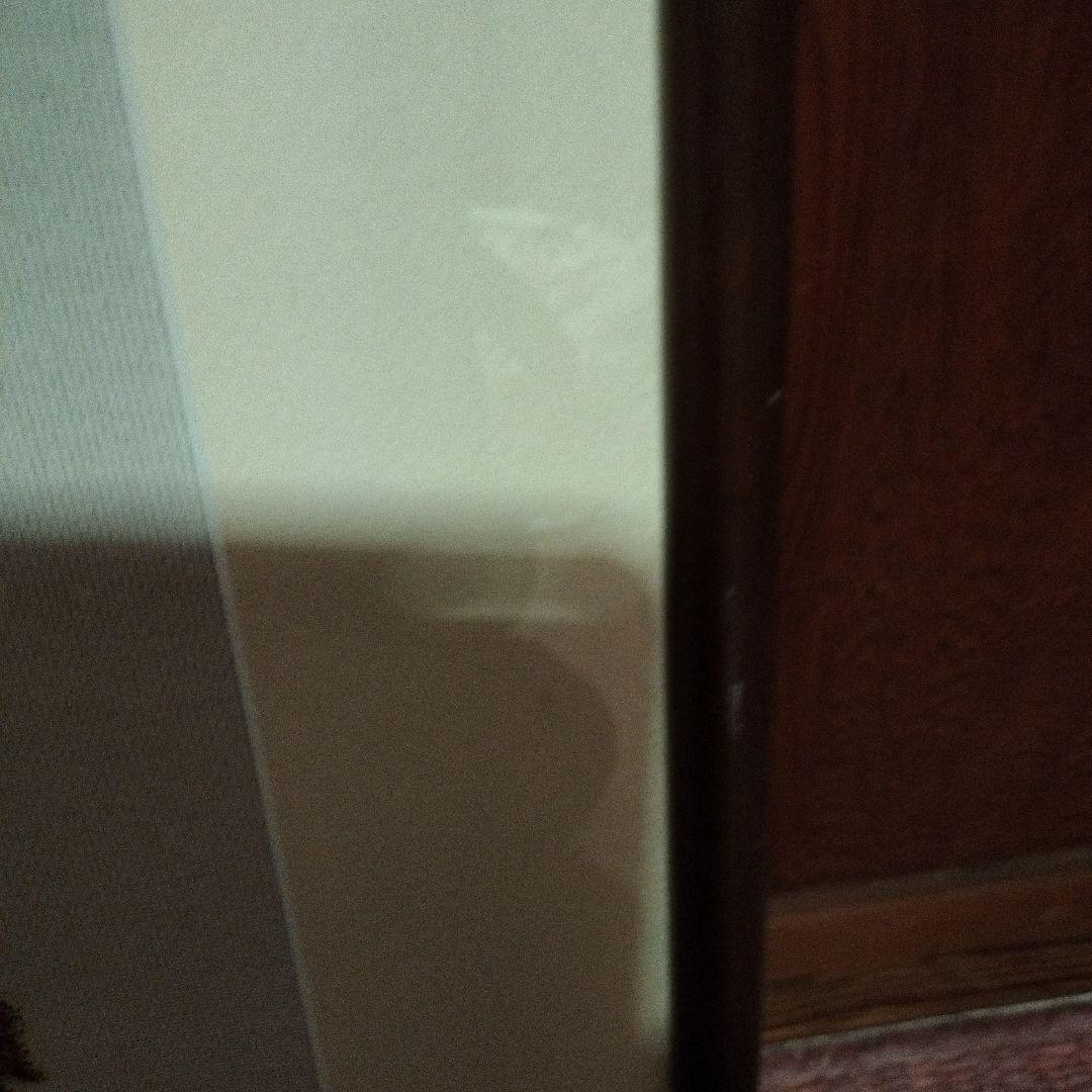 絵画、猫