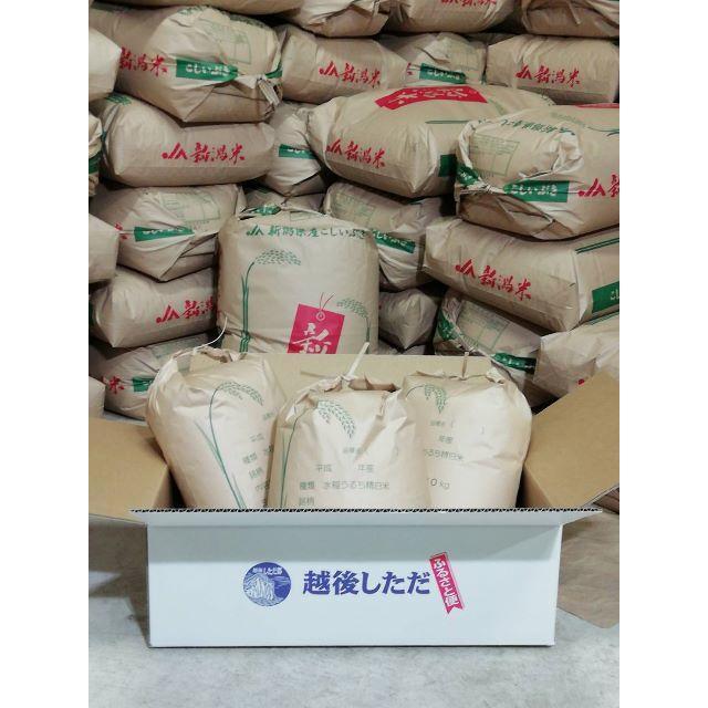 国産超歓迎 かおりん様専用 コシヒカリ20K玄米 袋発送 No3 kqAC1-m65217587302 新作品質保証