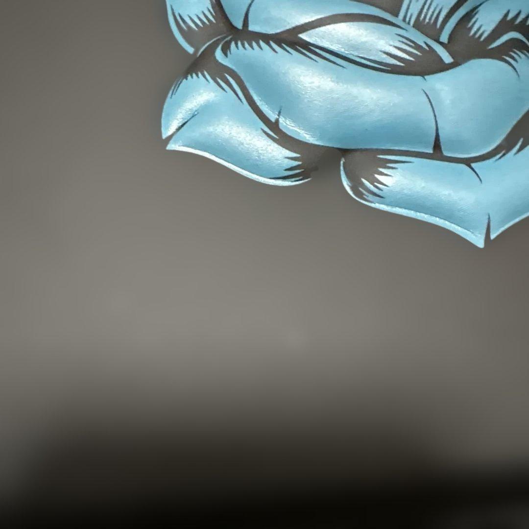 Ado よだか キラキラペンライト 収納ケース セット Ado よだか キラキラペンライト 収納ケース セット