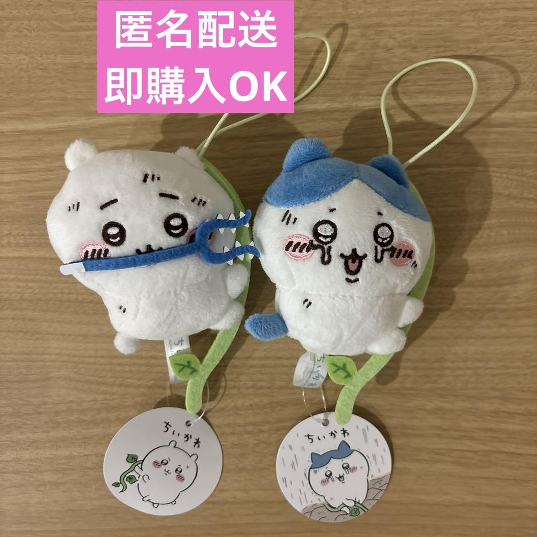 即購入OK】ちいかわ ハチワレマスコットセット