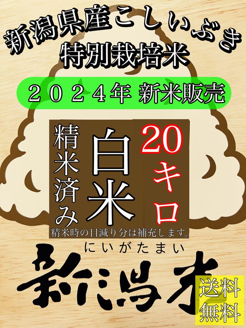 精米済み10キロ2袋Ryuichi様専用　新潟県産こしいぶき　特別栽培米　6年産