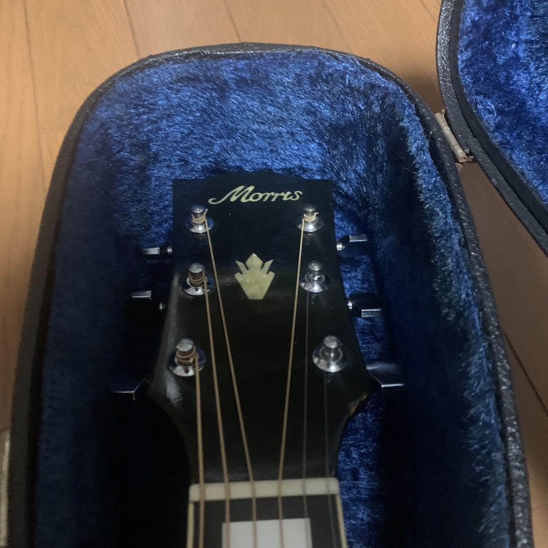 Morris アコースティックギター WH-25 ハミングバード