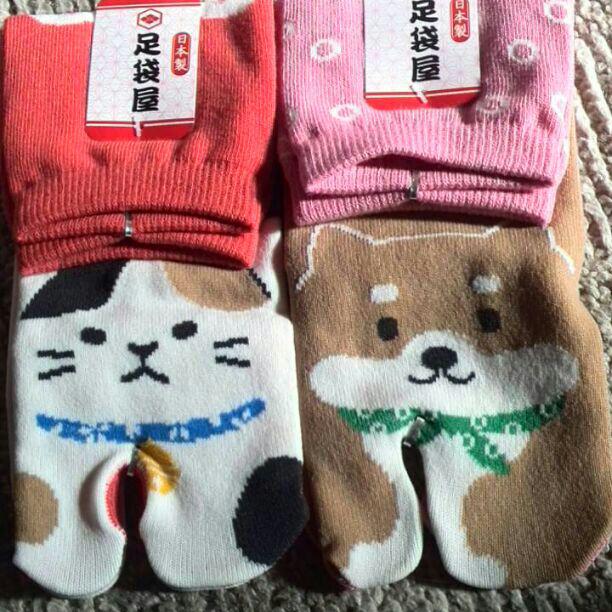メルカリ 猫ちゃん 靴下 小物 500 中古や未使用のフリマ メルカリ 猫ちゃん 靴下 小物 500 中古や未使用のフリマ
