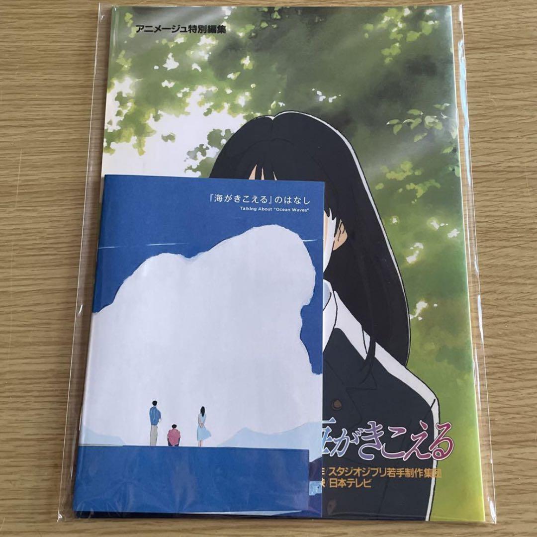 パンフレット　パンフレット 海がきこえる アニメージュ特別編集 パンフレット 海がきこえる アニメージュ特別編集* - メルカリ