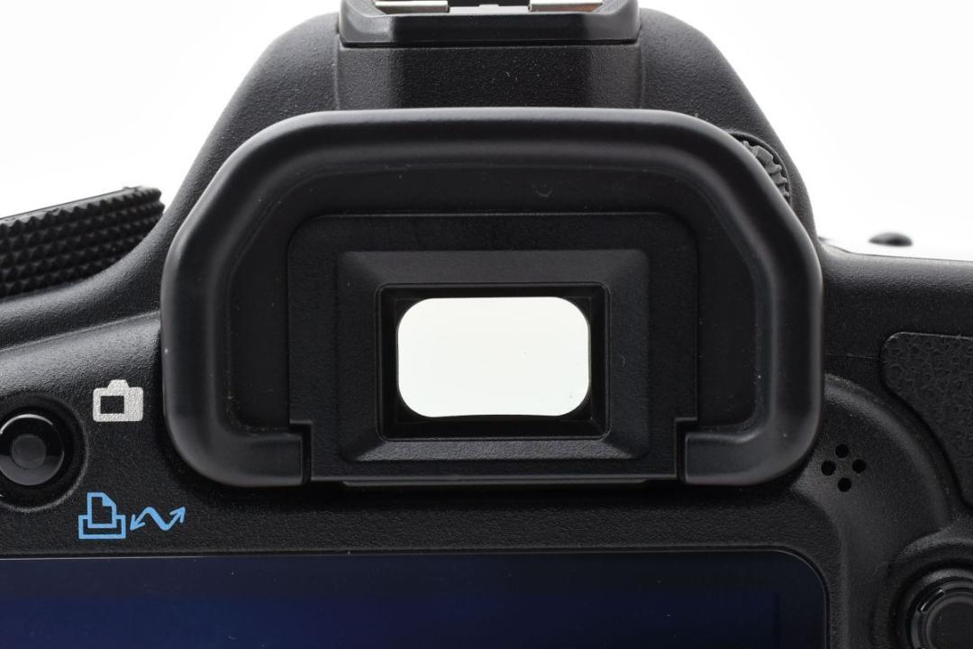 5D