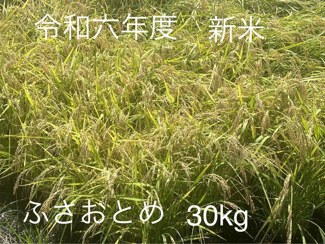 KwOさん専用　ふさおとめ 新米 令和六年度  玄米 30kg