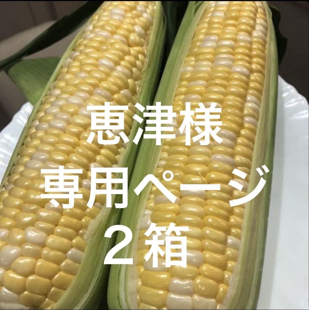恵津様専用ページ２箱