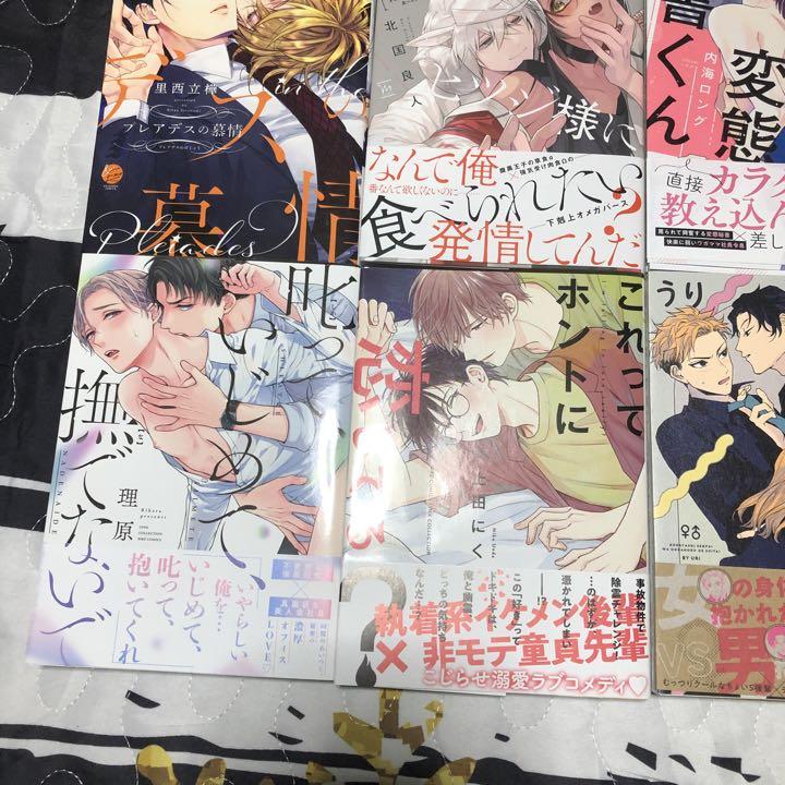 1冊250円】BL漫画 BLコミック BLまとめ売り バラ売り可能 セット