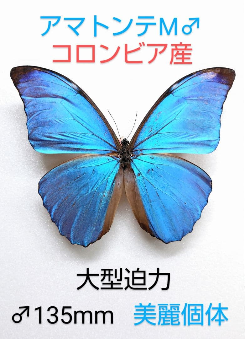 ミズノ様 リクエスト 3点 まとめ商品