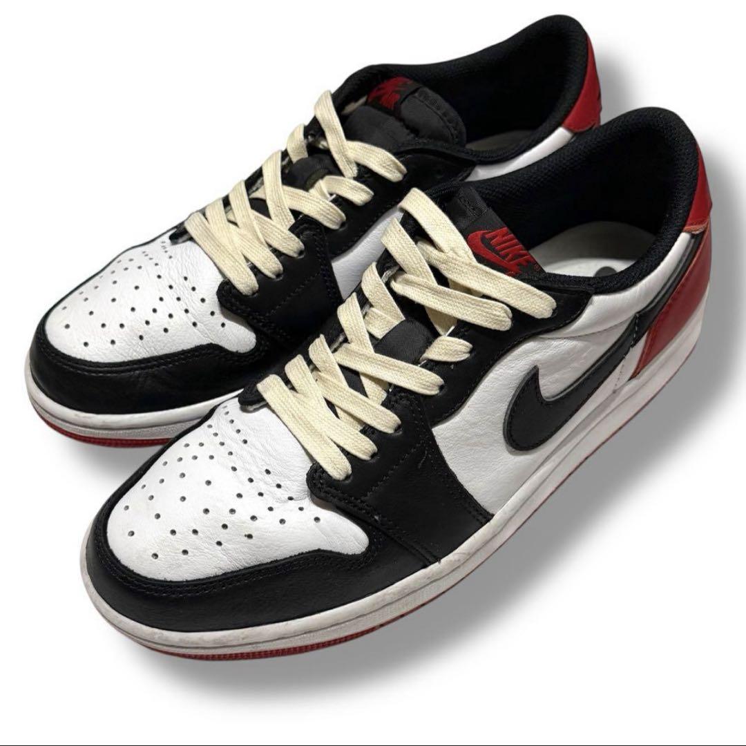 ポカポカ27cm Nike AIR JORDAN 1