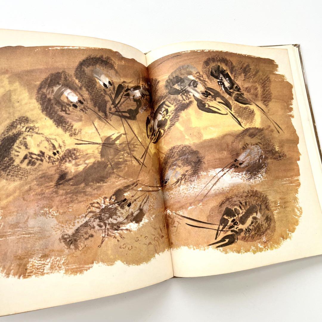 【おしゃれ】 ロシアの絵本 ニキータ・チャルーシン 鳥と動物について 洋書