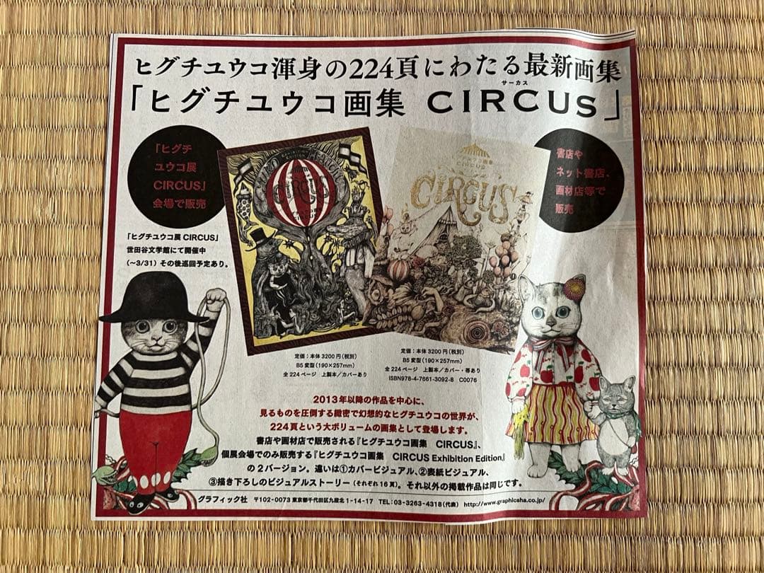 ヒグチユウコのフライヤー、新聞、その他 ヒグチユウコのフライヤー、新聞、その他