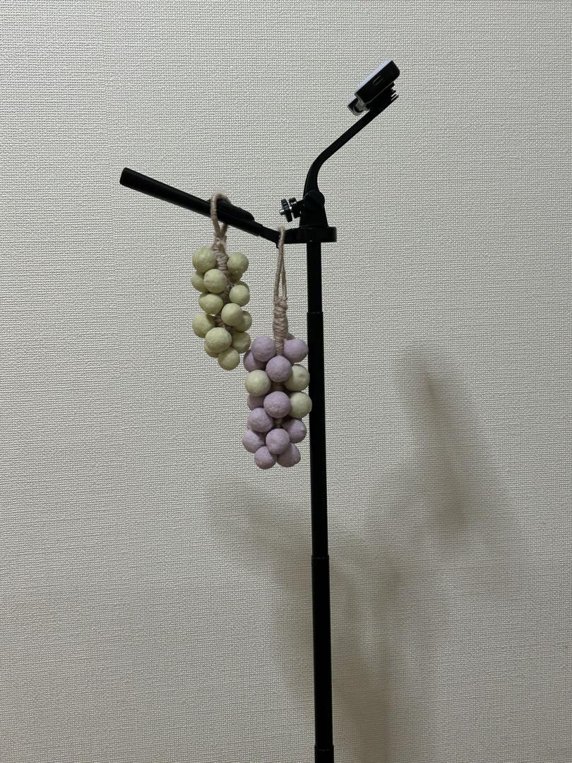 石鹸葡萄