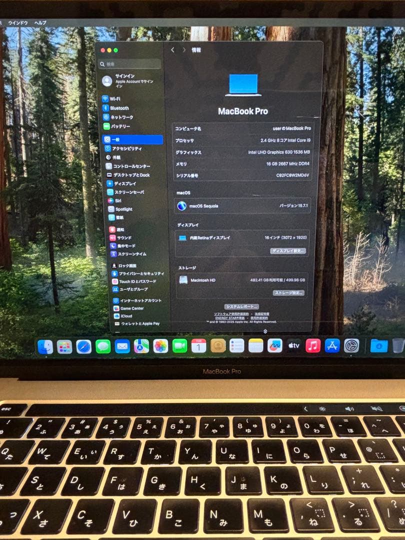 MacBook Pro 16インチ /i9/16GB/512GB/2019 MacBook Pro 16インチ /i9/16GB/512GB/2019