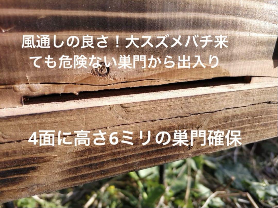日本蜜蜂 重箱式巣箱４段　スライド底板 スノコ　誘引液300cc付　 セット割有