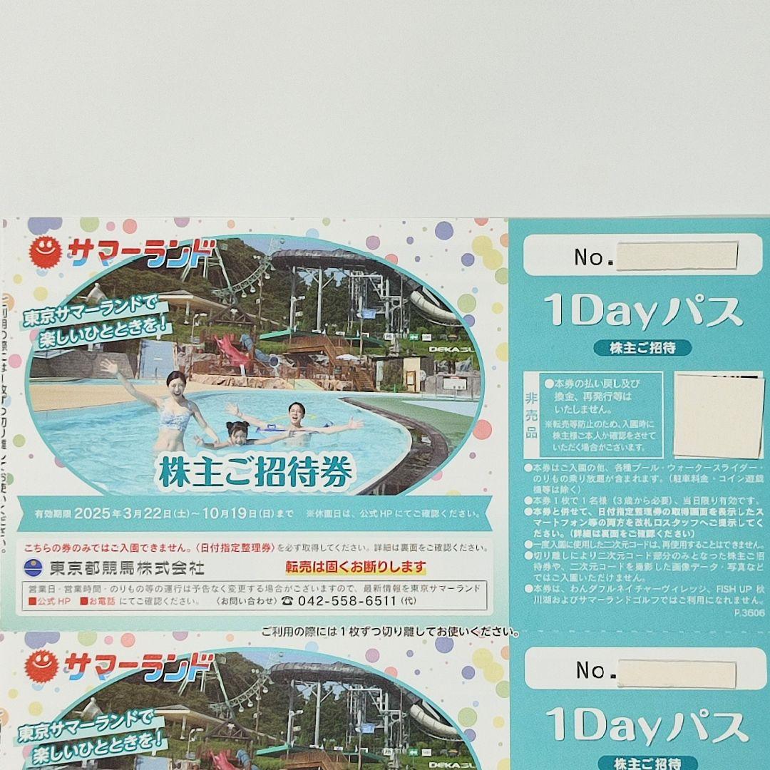 即発送【２枚】東京サマーランド １DAYパス・フリーパス / 最新版 1Dayパス チケット 都内即日発送 枚数増減可能 夏サマーランド プール