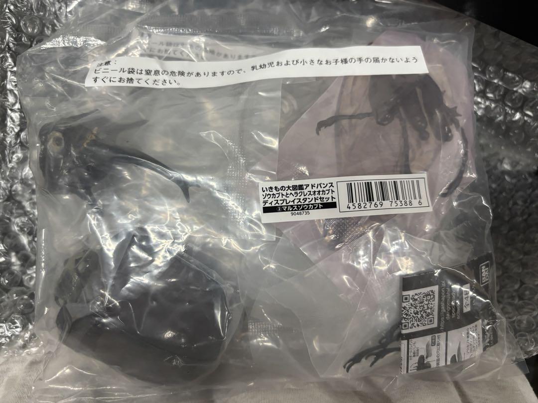 いきもの大図鑑アドバンス　マルスゾウカブト
