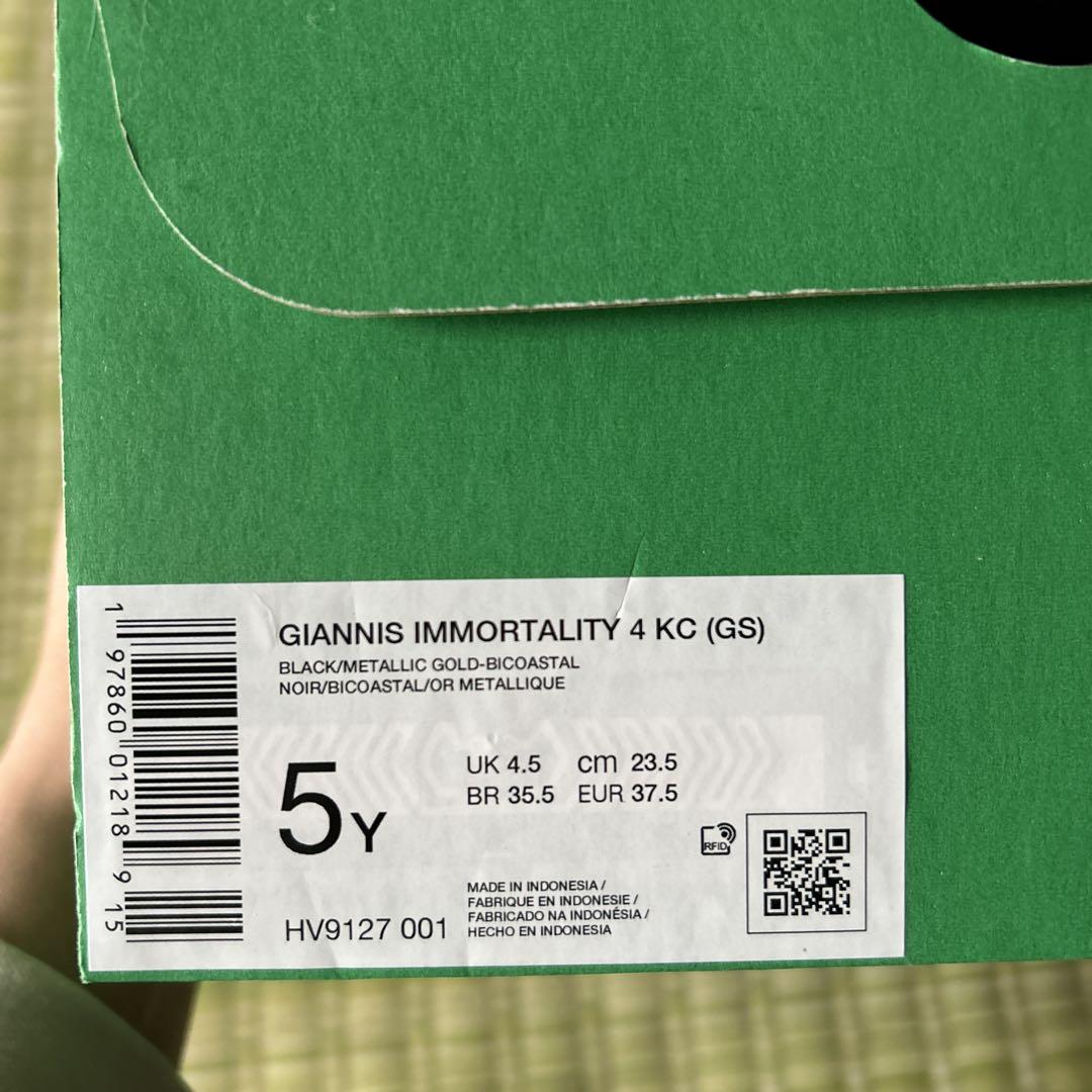 ヤニスイモータリティー ジュニア NIKE バッシュ23.5