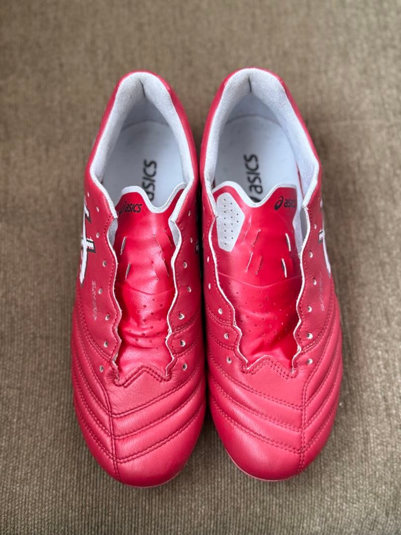 アシックス DS LIGHT X-FLY PRO 3 25.5㎝