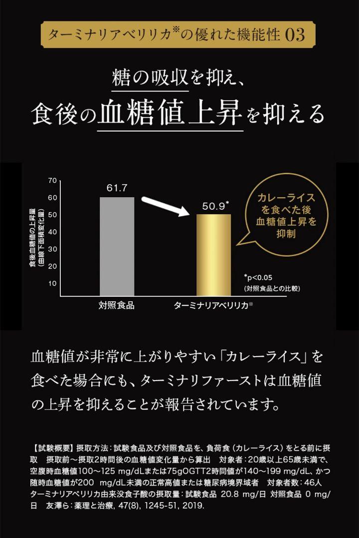 ビタブリッドジャパン ターミナリアファースト 120粒 2袋 ケース付新品未開封
