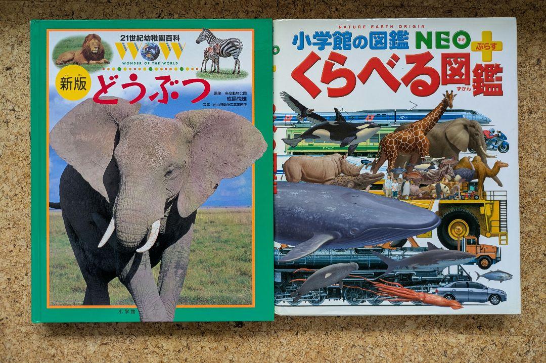 図鑑まとめ売り　お受験　小学校受験　「常識」ジャンル対策