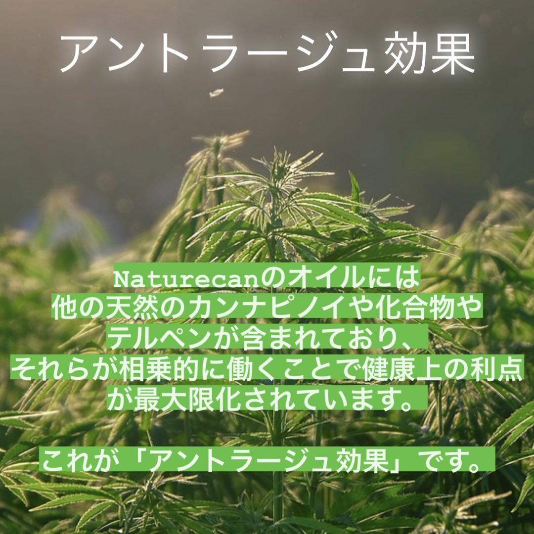 CBNリキッド 1ml 高濃度配合 CBD CBG CRD