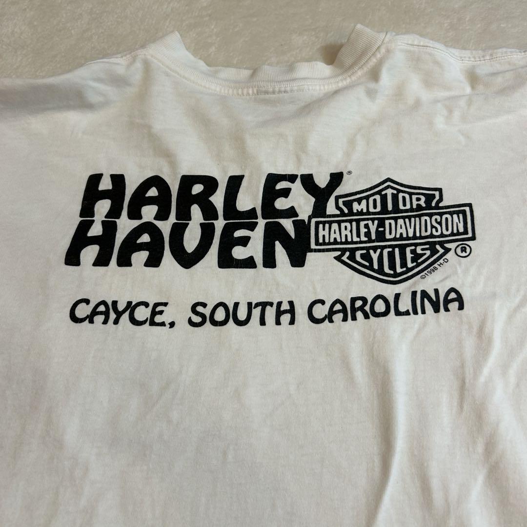 00s Harley Davidson ハーレーダビットソン　ファイヤーパターン