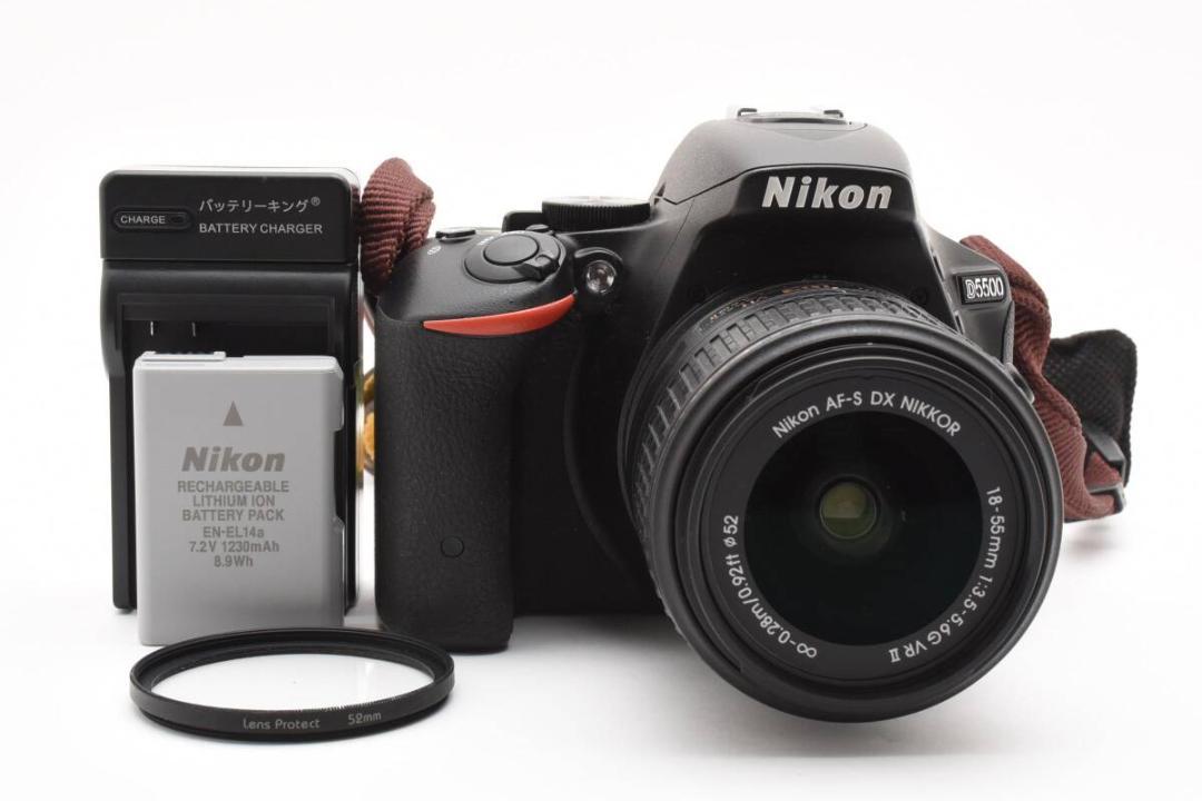 【ショット数1,271枚】ニコン Nikon D5500レンズキット