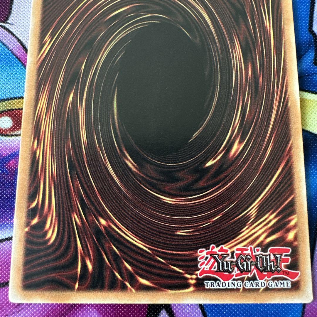 コレクターズ 4種セット